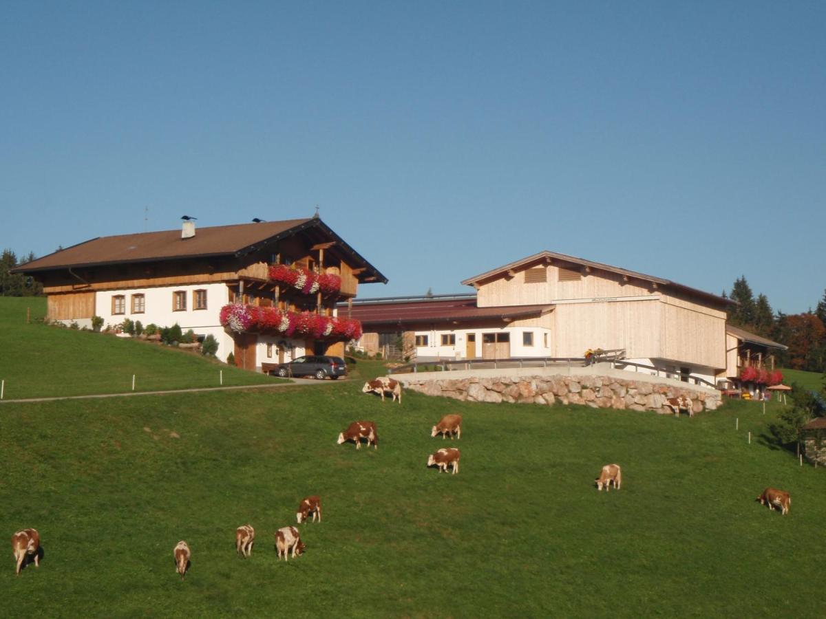 Sonnenappartements Madlstatthof Wildschonau Εξωτερικό φωτογραφία