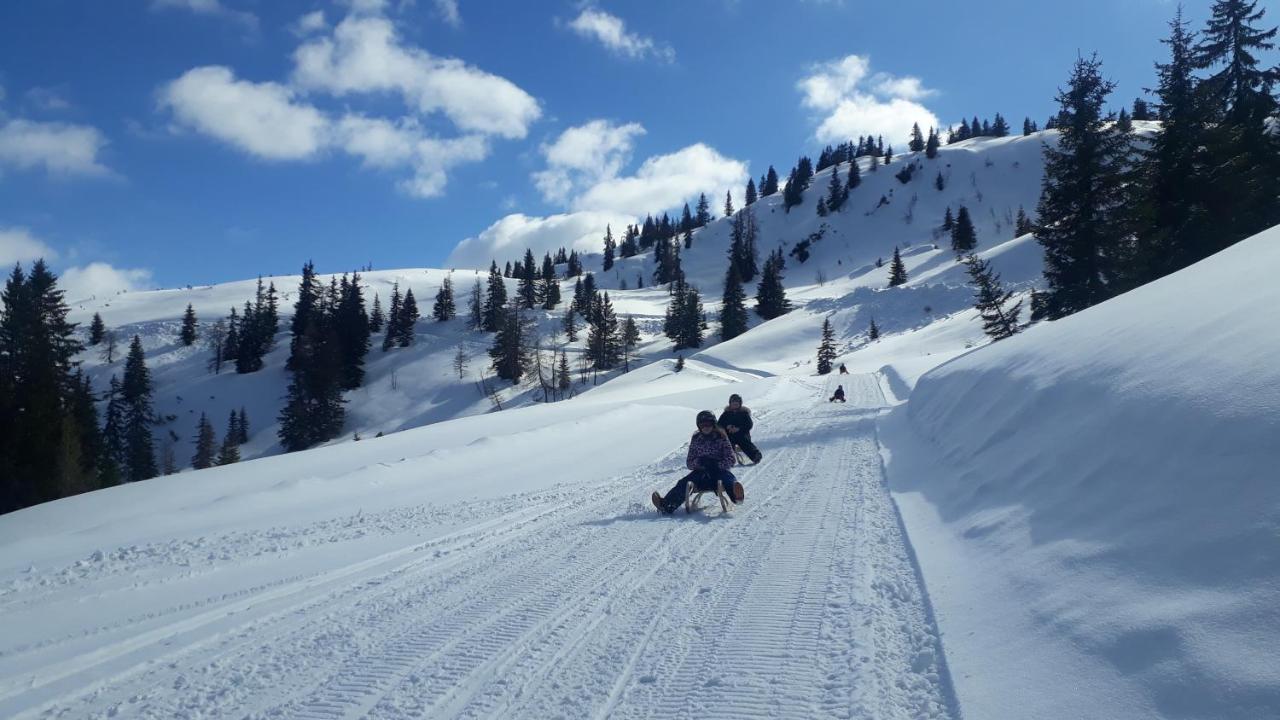 Sonnenappartements Madlstatthof Wildschonau Εξωτερικό φωτογραφία