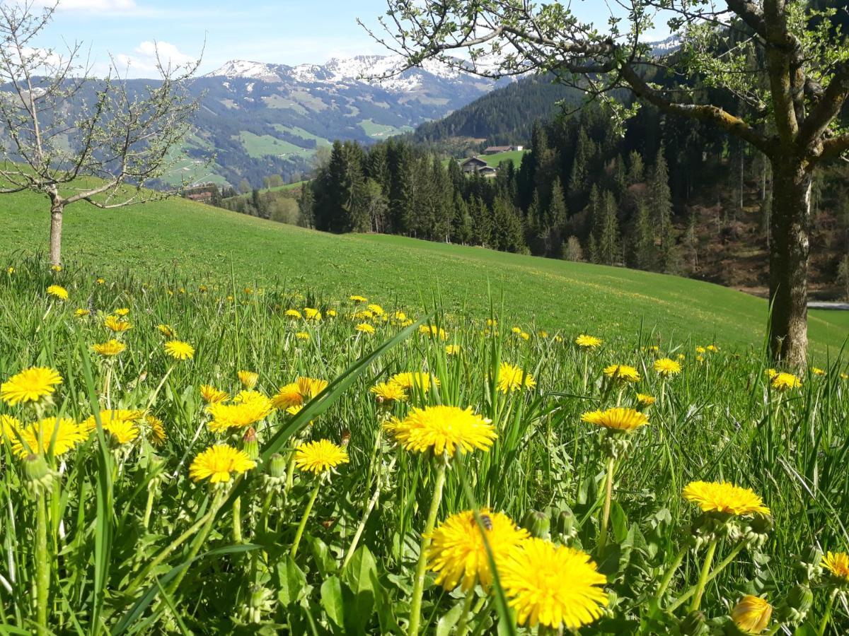 Sonnenappartements Madlstatthof Wildschonau Εξωτερικό φωτογραφία