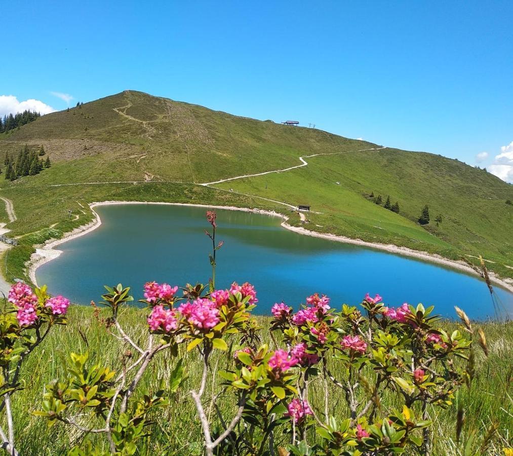 Sonnenappartements Madlstatthof Wildschonau Εξωτερικό φωτογραφία