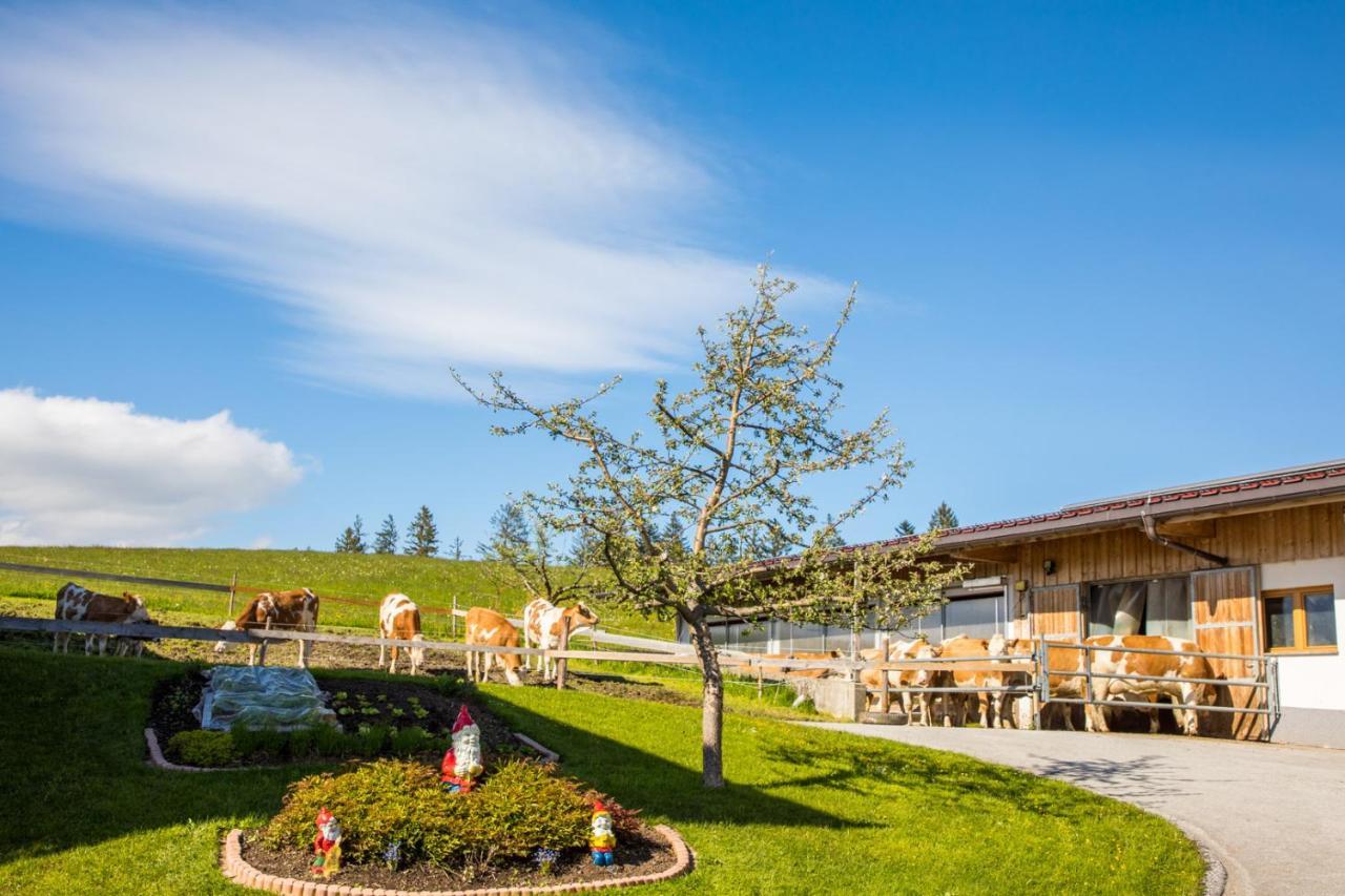 Sonnenappartements Madlstatthof Wildschonau Εξωτερικό φωτογραφία
