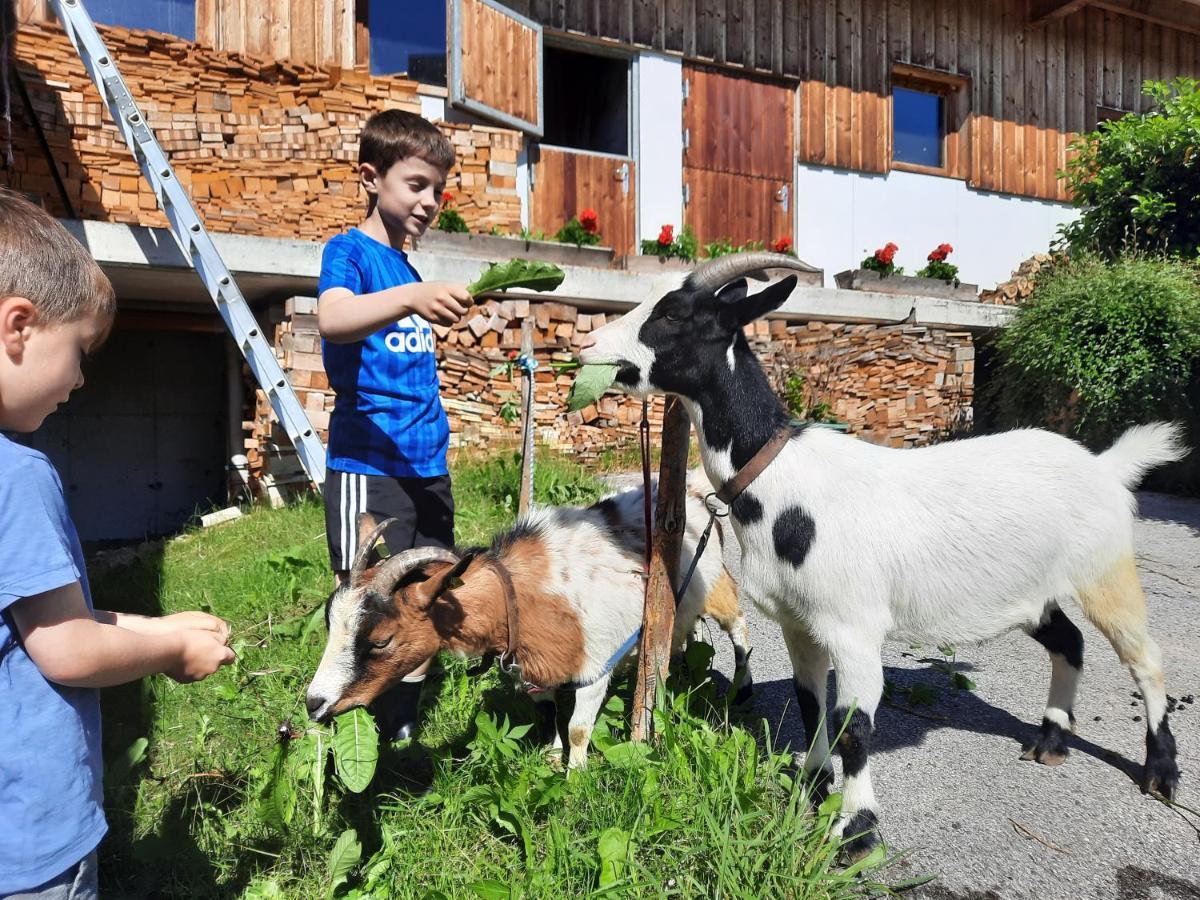 Sonnenappartements Madlstatthof Wildschonau Εξωτερικό φωτογραφία